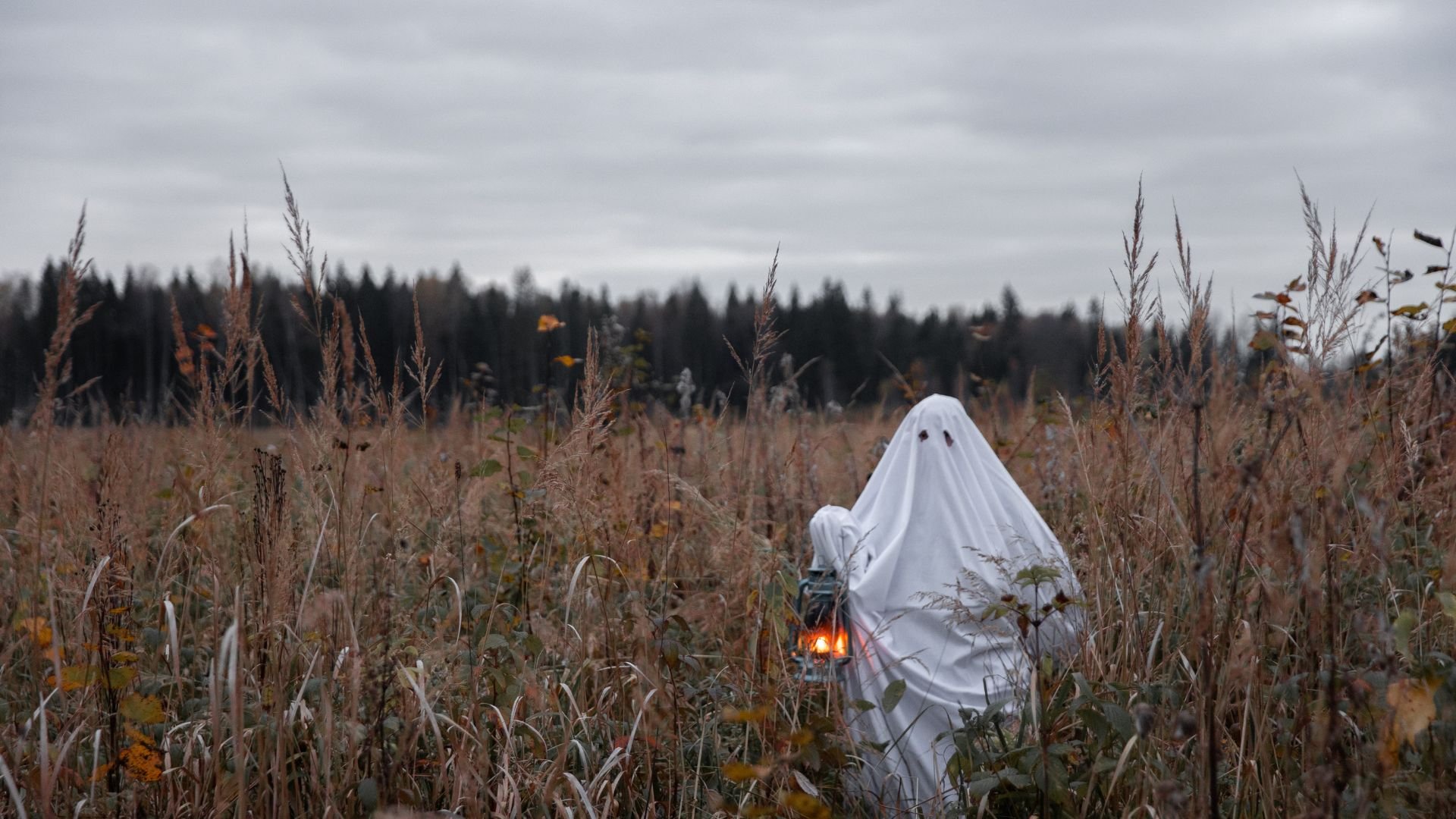 A ghost walks through a cornfield with a lantern.