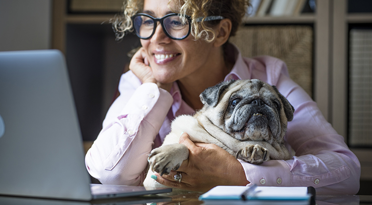 Smiling woman holding a pug dog and staring at computer laptop screen.