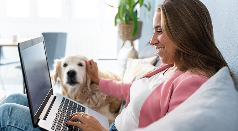 Woman petting dog while sitting on couch with laptop