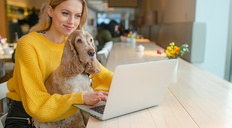 Employee working on laptop with dog on her lap