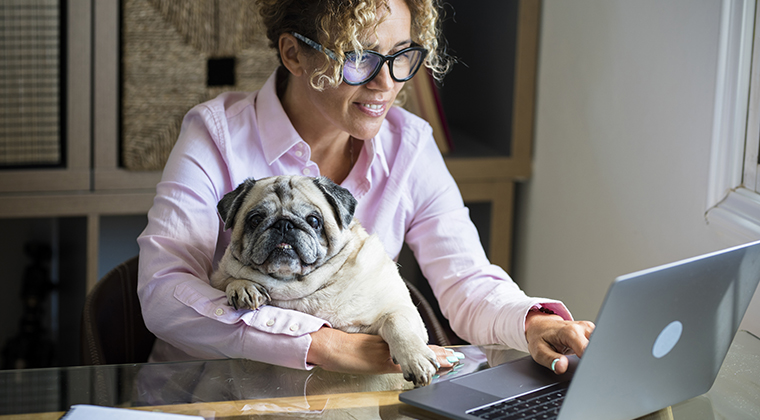Woman in glasses holding a Pug while working on laptop from home